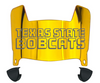 Texas State Bobcats Mini Football Helmet Visor Shield w/ Clips - PICK VISOR & LOGO COLOR