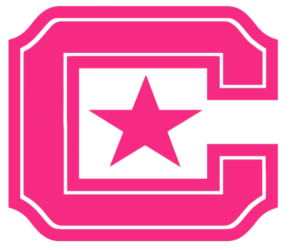 The Citadel Bulldogs HOT PINK Team Logo Premium DieCut Vinyl Decal PICK SIZE