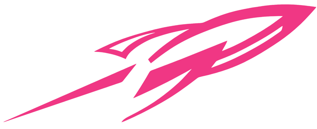 Toledo Rockets HOT PINK Team Logo Premium DieCut Vinyl Decal PICK SIZE