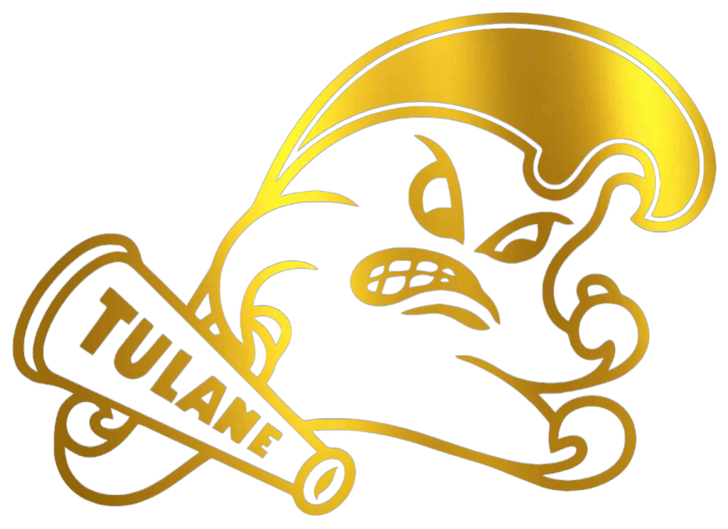 Tulane Green Wave GOLD CHROME MIRROR Team Logo Premium DieCut Vinyl Decal PICK SIZE