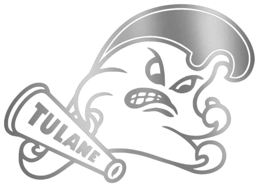 Tulane Green Wave SILVER CHROME MIRROR Team Logo Premium DieCut Vinyl Decal PICK SIZE