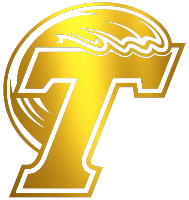 Tulane Green Wave GOLD CHROME MIRROR Retro Throwback Logo Premium DieCut Vinyl Decal PICK SIZE