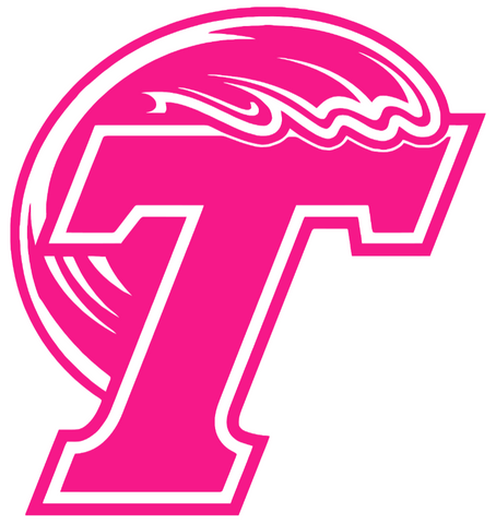 Tulane Green Wave Hot Pink Retro Throwback Logo Premium DieCut Vinyl Decal PICK SIZE