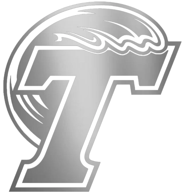 Tulane Green Wave SILVER CHROME MIRROR Retro Throwback Logo Premium DieCut Vinyl Decal PICK SIZE