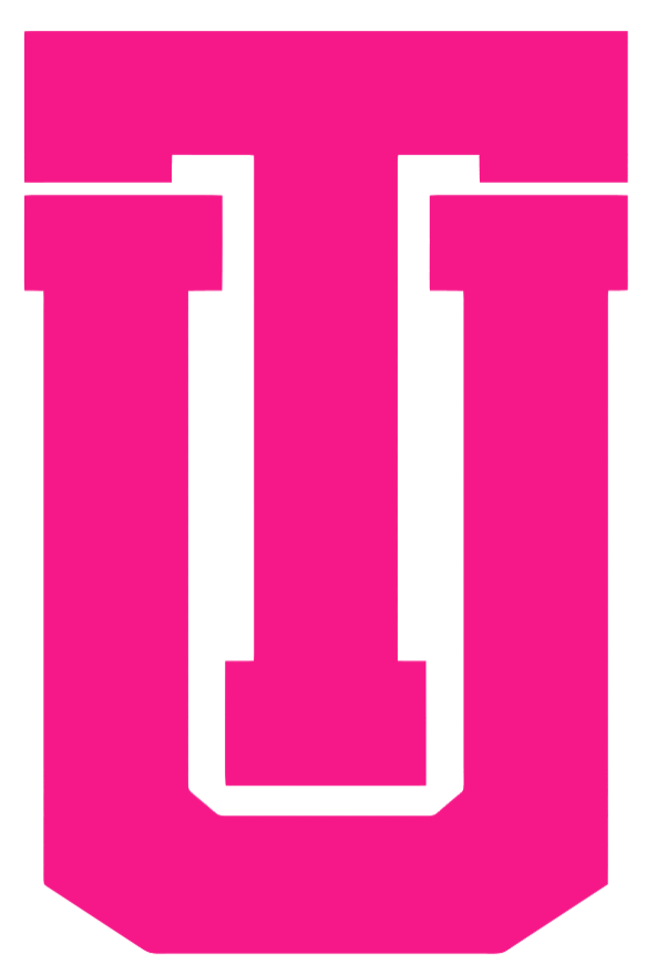 Tulsa Golden Hurricane Hot Pink Retro Throwback Logo Premium DieCut Vinyl Decal PICK SIZE