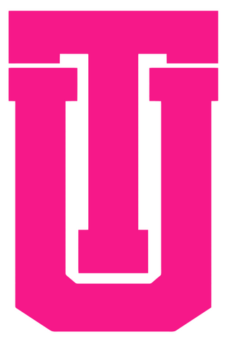 Tulsa Golden Hurricane Hot Pink Retro Throwback Logo Premium DieCut Vinyl Decal PICK SIZE