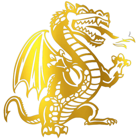 UAB Blazers GOLD CHROME MIRROR Alternate Logo Premium DieCut Vinyl Decal PICK SIZE