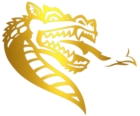 UAB Blazers GOLD CHROME MIRROR Team Logo Premium DieCut Vinyl Decal PICK SIZE