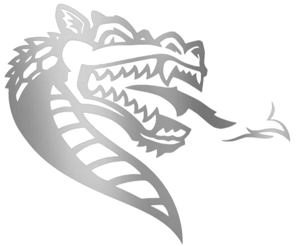 UAB Blazers SILVER CHROME MIRROR Team Logo Premium DieCut Vinyl Decal PICK SIZE