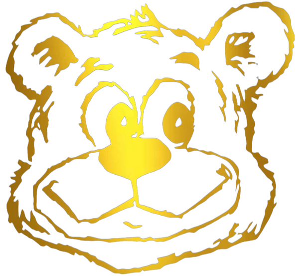 UCLA Bruins GOLD CHROME MIRROR Retro Throwback Logo Premium DieCut Vinyl Decal PICK SIZE