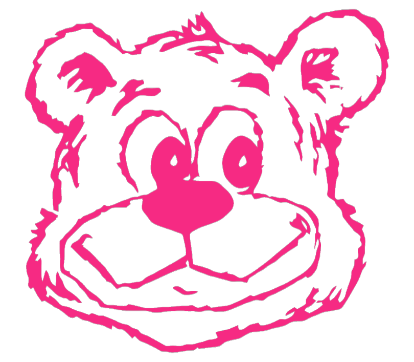 UCLA Bruins HOT PINK Retro Throwback Logo Premium DieCut Vinyl Decal PICK SIZE