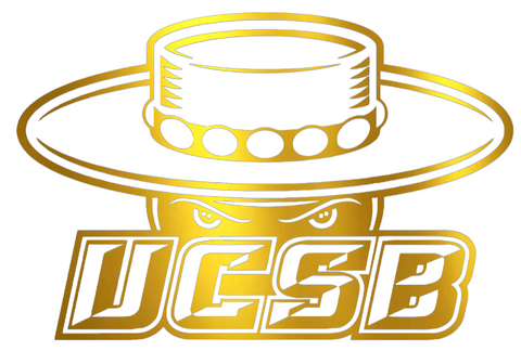 UCSB Gauchos GOLD CHROME MIRROR Team Logo Premium DieCut Vinyl Decal PICK SIZE
