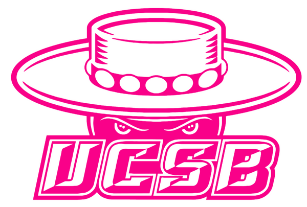 UCSB Gauchos Hot Pink Team Logo Premium DieCut Vinyl Decal PICK SIZE