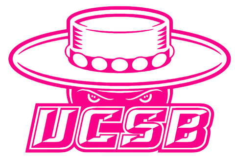 UCSB Gauchos Hot Pink Team Logo Premium DieCut Vinyl Decal PICK SIZE