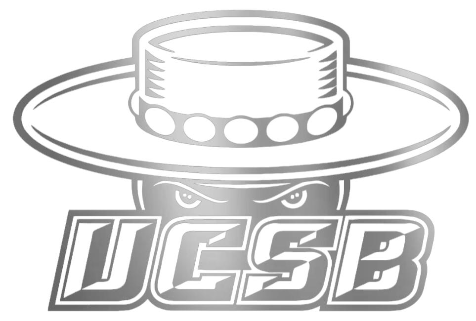UCSB Gauchos SILVER CHROME MIRROR Team Logo Premium DieCut Vinyl Decal PICK SIZE