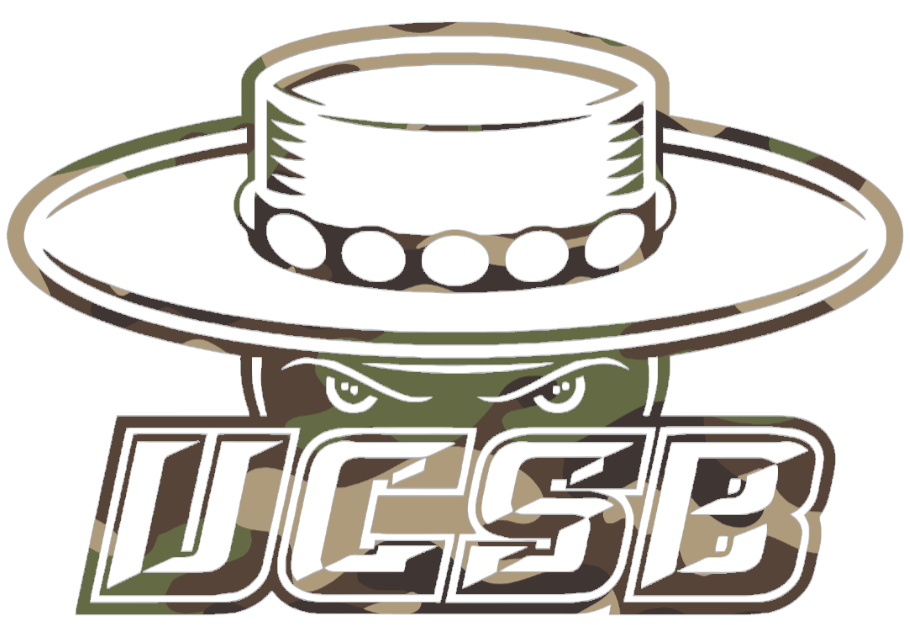 UCSB Gauchos Woodland Camo Camouflage Team Logo Premium DieCut Vinyl Decal PICK SIZE