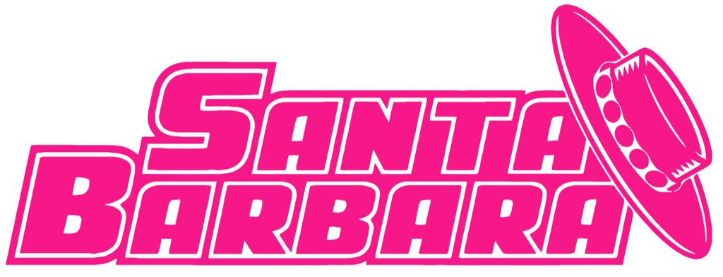UCSB Gauchos Hot Pink Team Name Logo Premium DieCut Vinyl Decal PICK SIZE
