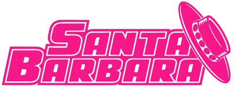 UCSB Gauchos Hot Pink Team Name Logo Premium DieCut Vinyl Decal PICK SIZE