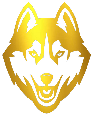 UConn Huskies GOLD CHROME MIRROR Team Logo Premium DieCut Vinyl Decal PICK SIZE