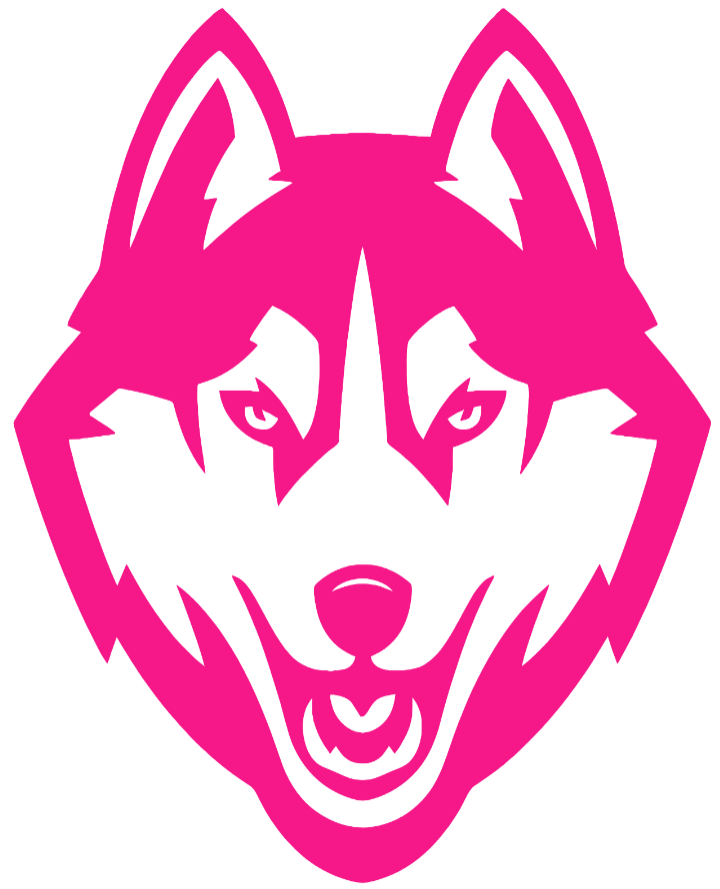 UConn Huskies Hot Pink Team Logo Premium DieCut Vinyl Decal PICK SIZE