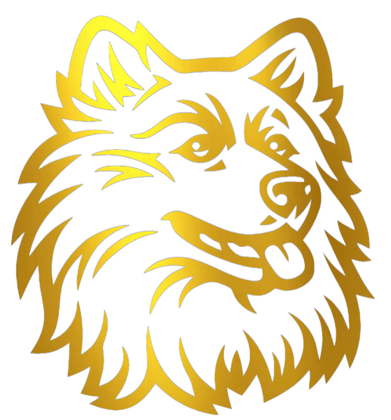 UConn Huskies GOLD CHROME MIRROR Retro Throwback Logo Premium DieCut Vinyl Decal PICK SIZE