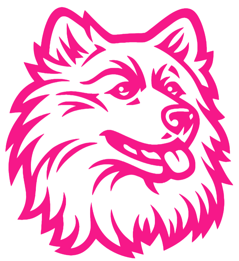 UConn Huskies Hot Pink Retro Throwback Logo Premium DieCut Vinyl Decal PICK SIZE