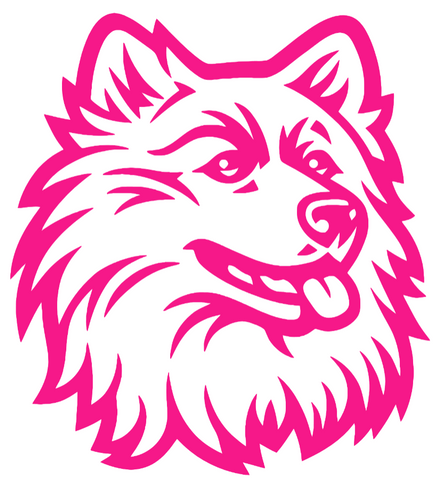 UConn Huskies Hot Pink Retro Throwback Logo Premium DieCut Vinyl Decal PICK SIZE