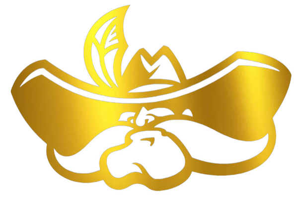 UNLV Rebels GOLD CHROME MIRROR Retro Throwback Logo Premium DieCut Vinyl Decal PICK SIZE