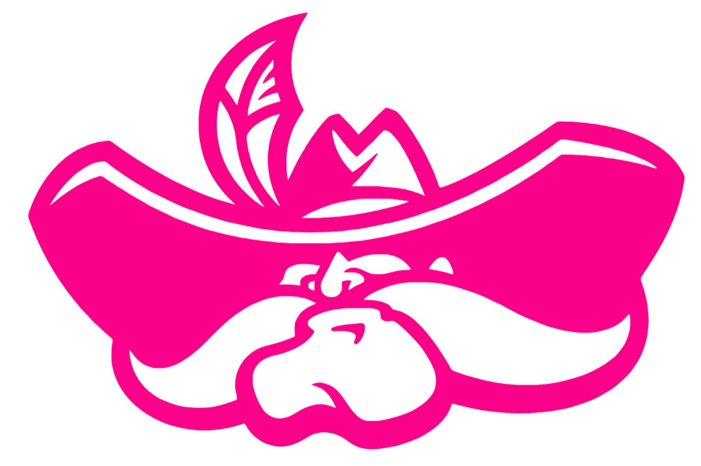 UNLV Rebels Hot Pink Retro Throwback Logo Premium DieCut Vinyl Decal PICK SIZE