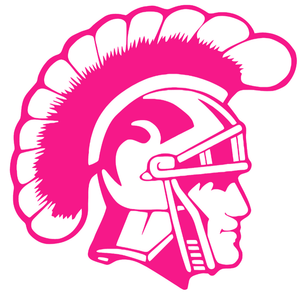 USC Southern California Trojans Hot Pink Retro Throwback Logo Premium DieCut Vinyl Decal PICK SIZE