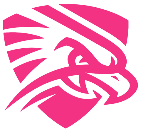 UTPB Falcons HOT PINK Mascot Logo Premium DieCut Vinyl Decal PICK SIZE