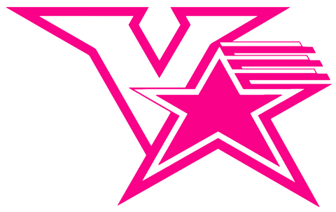 Vanderbilt Commodores Hot Pink Retro Throwback Logo Premium DieCut Vinyl Decal PICK SIZE