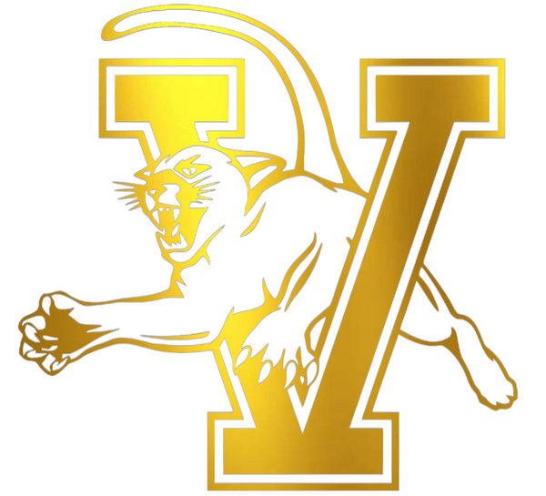 Vermont Catamounts GOLD CHROME MIRROR Team Logo Premium DieCut Vinyl Decal PICK SIZE