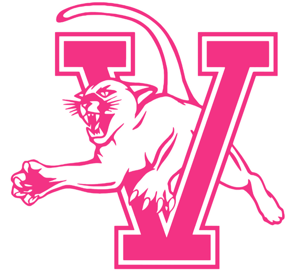 Vermont Catamounts HOT PINK Team Logo Premium DieCut Vinyl Decal PICK SIZE