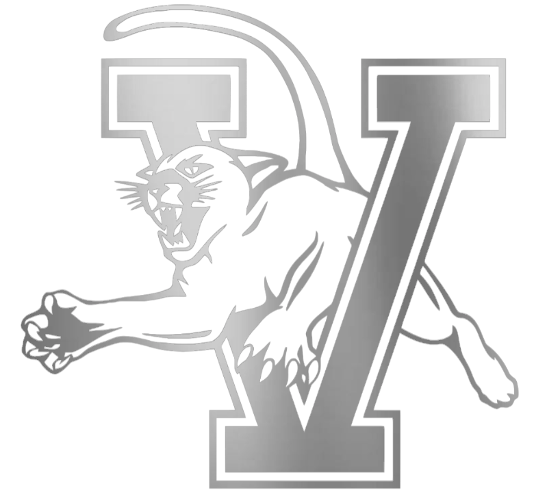 Vermont Catamounts SILVER CHROME MIRROR Team Logo Premium DieCut Vinyl Decal PICK SIZE