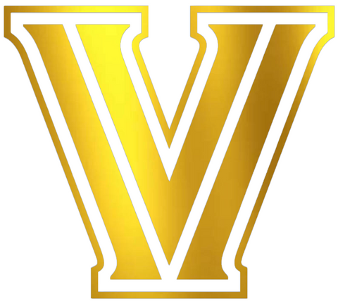 Villanova Wildcats GOLD CHROME MIRROR Team Logo Premium DieCut Vinyl Decal PICK SIZE