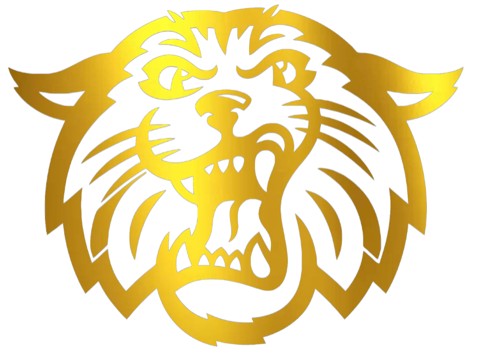 Villanova Wildcats GOLD CHROME MIRROR Mascot Logo Premium DieCut Vinyl Decal PICK SIZE