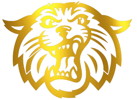 Villanova Wildcats GOLD CHROME MIRROR Mascot Logo Premium DieCut Vinyl Decal PICK SIZE