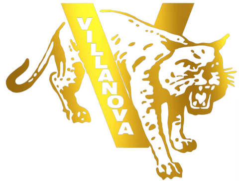 Villanova Wildcats GOLD CHROME MIRROR Retro Throwback Logo Premium DieCut Vinyl Decal PICK SIZE