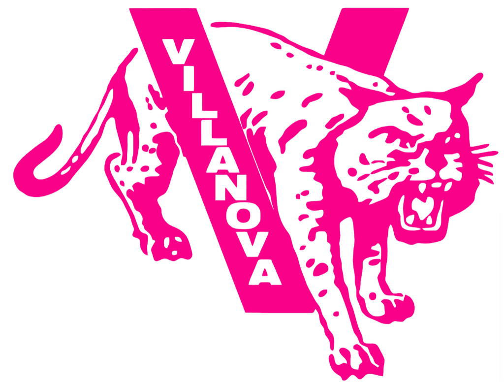 Villanova Wildcats Hot Pink Retro Throwback Logo Premium DieCut Vinyl Decal PICK SIZE