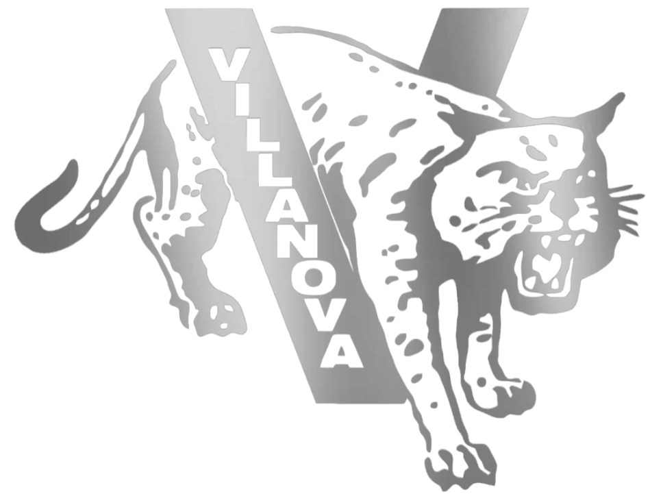 Villanova Wildcats GOLD SILVER MIRROR Retro Throwback Logo Premium DieCut Vinyl Decal PICK SIZE