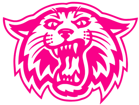 Villanova Wildcats Hot Pink Retro Throwback Logo Premium DieCut Vinyl Decal PICK SIZE