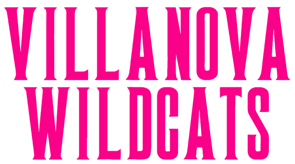 Villanova Wildcats Hot Pink Team Name Logo Premium DieCut Vinyl Decal PICK SIZE