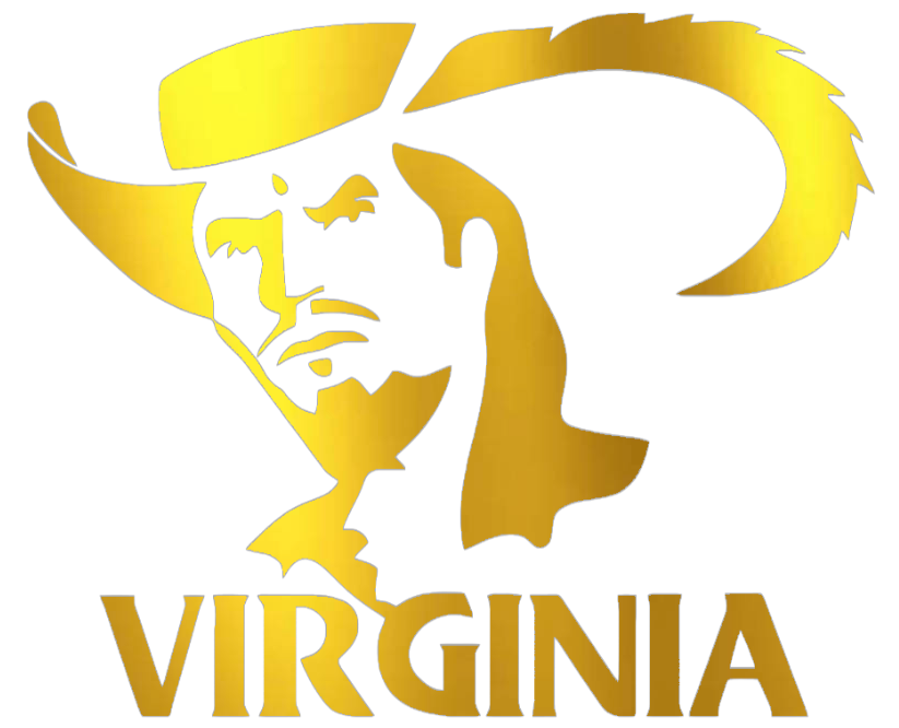 Virginia Cavaliers GOLD CHROME MIRROR Retro Throwback Logo Premium DieCut Vinyl Decal PICK SIZE
