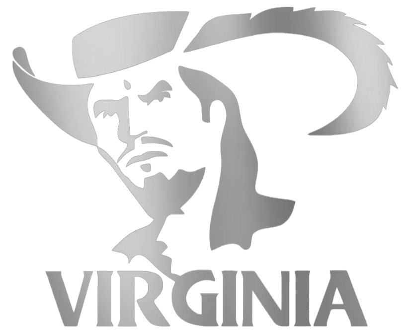 Virginia Cavaliers SILVER CHROME MIRROR Retro Throwback Logo Premium DieCut Vinyl Decal PICK SIZE