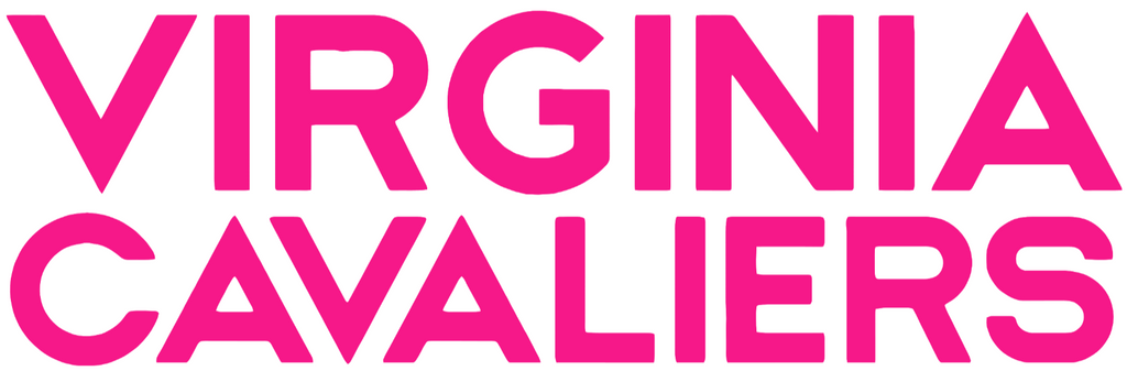 Virginia Cavaliers Hot Pink Team Name Logo Premium DieCut Vinyl Decal PICK SIZE