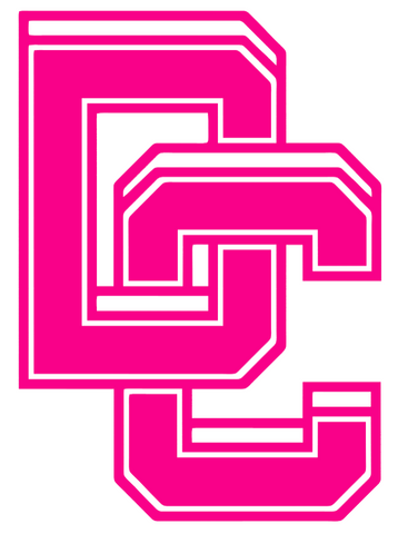 Washington Nationals Hot Pink City Connect 2.0 DC Logo Premium DieCut Vinyl Decal PICK SIZE