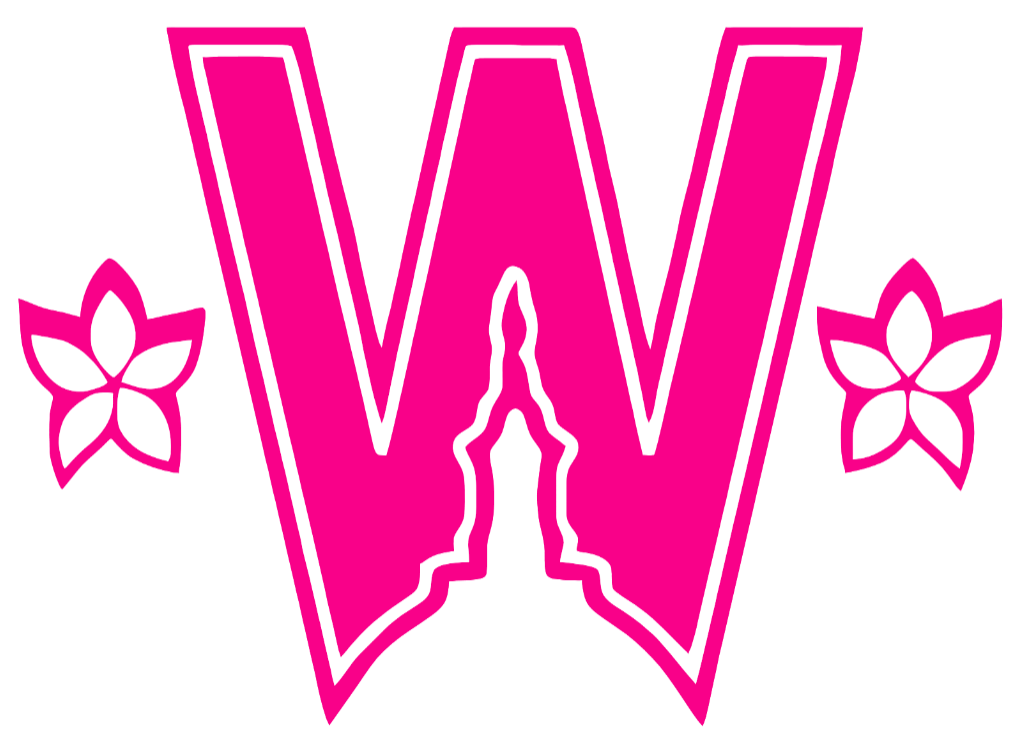 Washington Nationals Hot Pink City Connect 2.0 W Logo Premium DieCut Vinyl Decal PICK SIZE