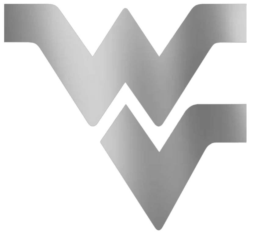 West Virginia Mountaineers SILVER CHROME MIRROR Team Logo Premium DieCut Vinyl Decal PICK SIZE