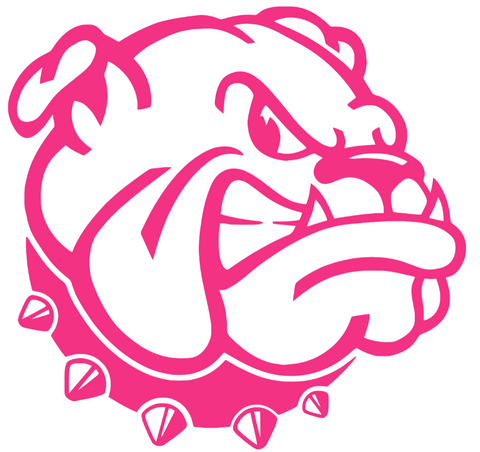 Western Illinois Leathernecks HOT PINK Team Logo Premium DieCut Vinyl Decal PICK SIZE